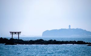 葉山公園からの風景